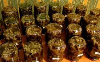 Опята с лимонной кислотой на зиму: рецепты маринования и засолки