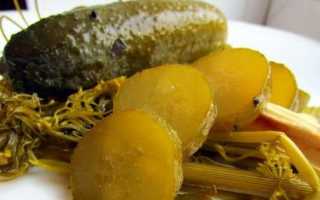 Бочковые огурцы — рецепты вкусной заготовки старинными способами