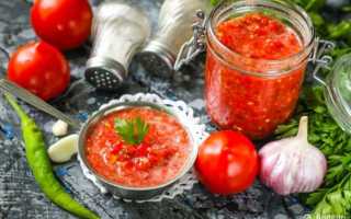 Аджика без помидор — 24 домашних вкусных рецепта приготовления
