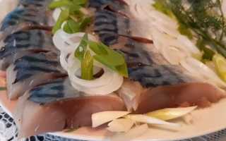 Скумбрия маринованная в домашних условиях – очень вкусная