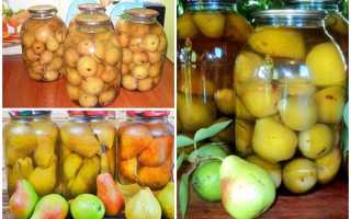 Компот из груш на зиму: рецепты на любой вкус, простые и необычные