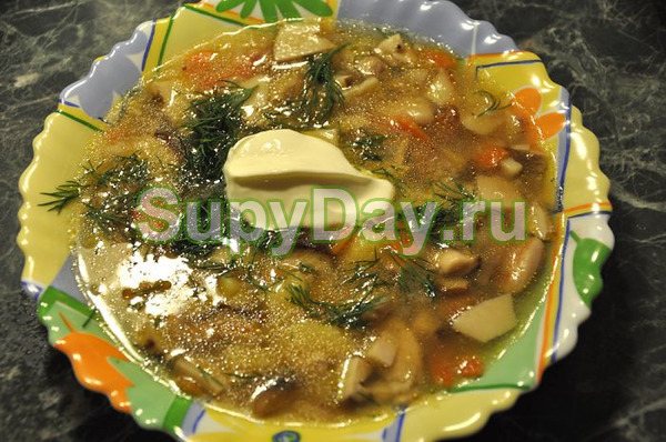 Грибовница - суп из замороженных белых грибов