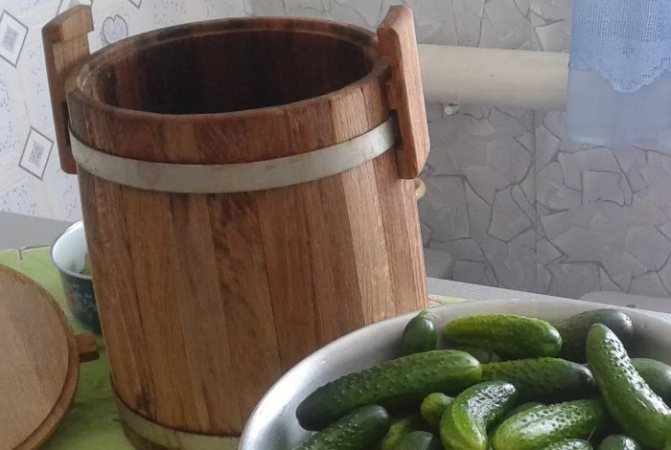 Рецепт засолки огурцов в бочке на зиму холодным способом