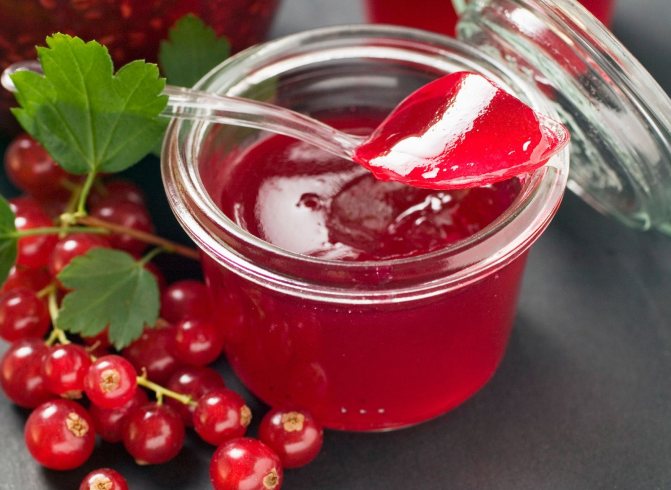 Рецепты желе из ягод и фруктов
