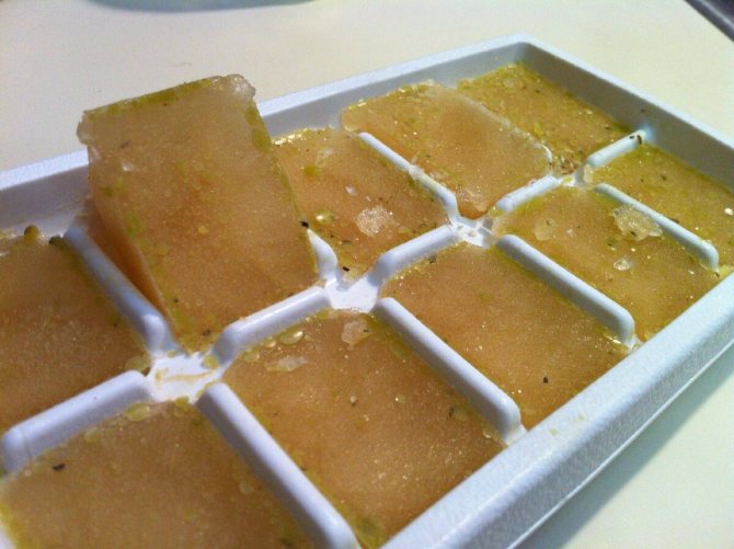 Замороженный бульон